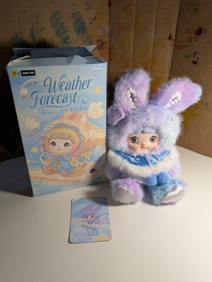 FOG CONFIRMED- Nommi Weather Forecast Series