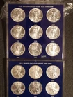 Silver American Eagle **15 Dollar lot partial Set 1986 to 2000 *Uncirculated