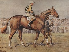 Snaffles A National Candidate 1932 Horse Racing Print Hardback Never Framed