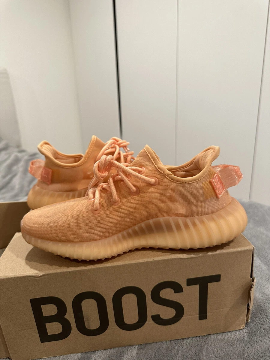 Size 6 adidas Yeezy Boost 350 V2 Clay GW2870 eBay
