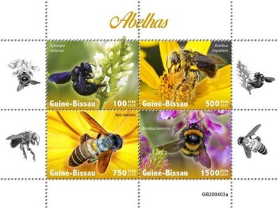 Bees