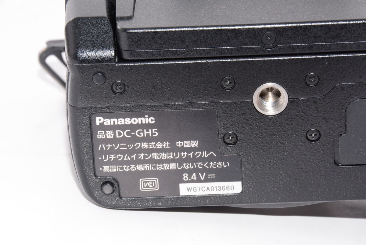 N.MINT/5675shots] Panasonic Lumix GH5 Camera Body From JAPAN