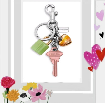 NWT COACH Key Cluster Bag Charm Keychain CP891 In PINK MULTI Silver Hardware