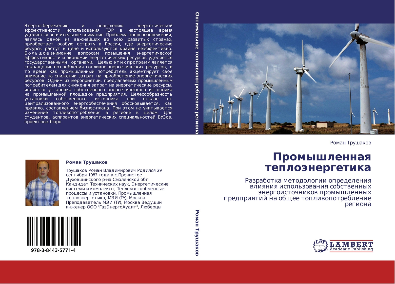 Promyshlennaq Teploänergetika Roman Trushakow Taschenbuch Paperback