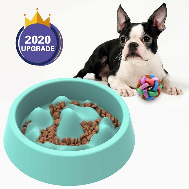dog food bowl slow feeder