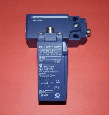   x 2 STÜCK TELEMECANIQUE LIMIT SWITCH XCKN2110P20  