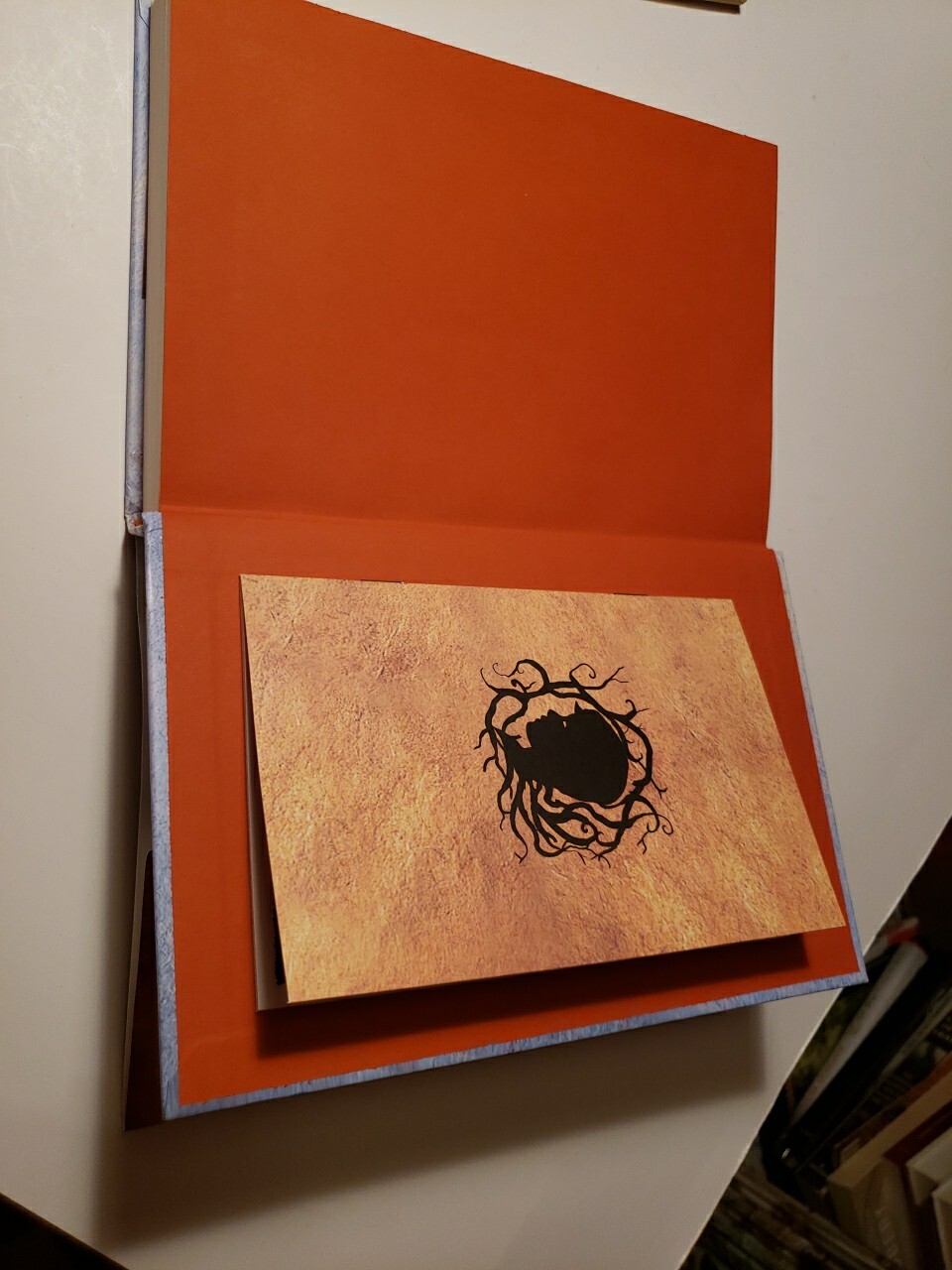 Picture 24 of 24