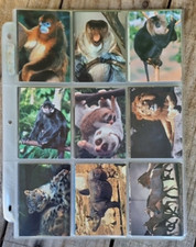 SAN DIEGO ZOO Trading Cards * Base Set of 110 cards * CARDZ * 1993 * wildlife