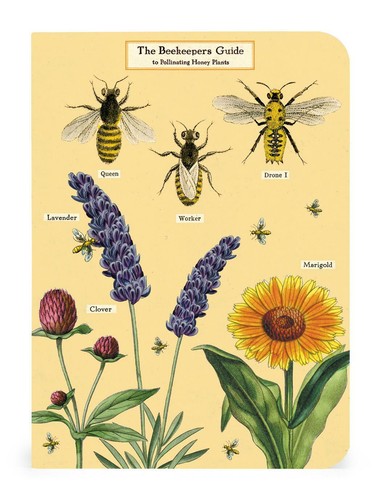 Cavallini - Set of 3 Mini Notebooks - Honey Bees - Lined/Blank/Graph Interiors - 第 3/4 張圖片