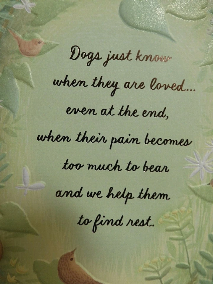 3 Cards Hallmark with Sympathy for PET DOG Sympathy Card WE LOVE OUR DOGS Matte - Image 3 of 4