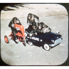 San Diego Zoo - View-Master Special On-Location Reel - 1955