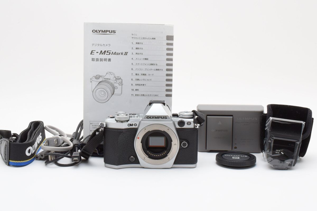 OLYMPUS OM−D E−M5 Mark 2 レンズ付 【公式通販】