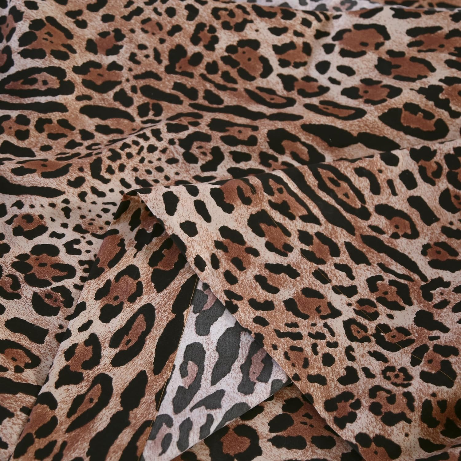 Picture 6 of 7