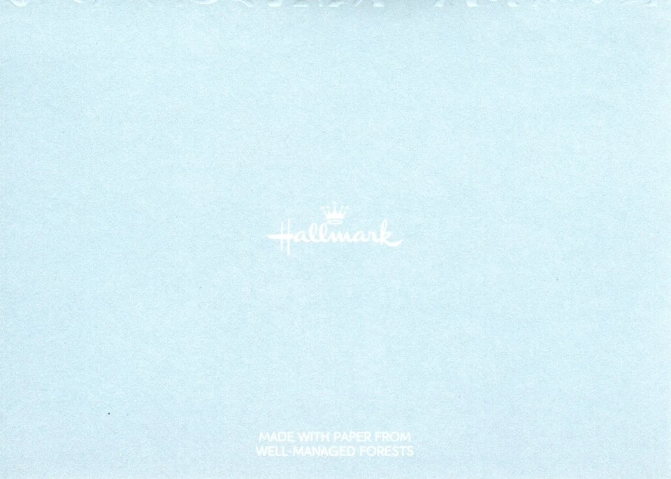 Blue & Gold Butterfly Thank You - Expression of Sympathy By Hallmark - Set of 10 - Image 2 of 2