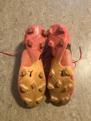 Puma Future