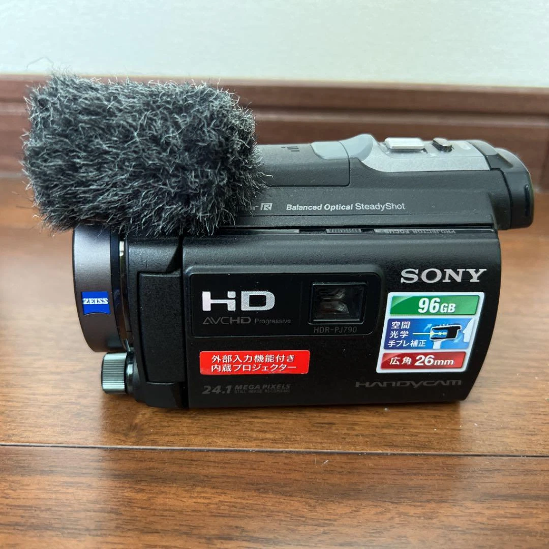 Sony HANDYCAM HDR-PJ790V black optical 10x internal used japan | eBay