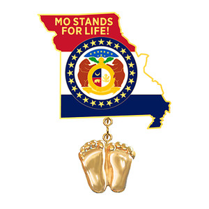 Authentic Precious Feet, 14K Gold Plated, Missouri Flag Jewelry, Lapel Pin