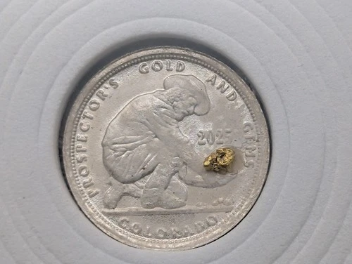 🔥 RARE .05 OZ TROY PROSPECTOR ROUND .999 FINE SILVER W/ BIG 22K GOLD NUGGET 🔥