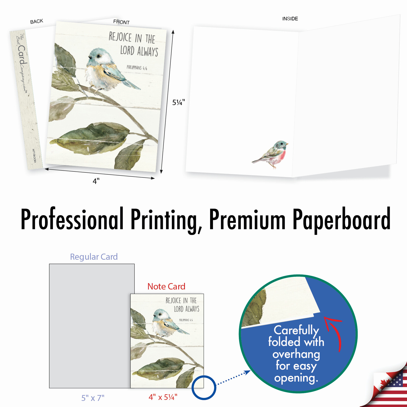 20 Assorted Blank Cards (10 Designs, 2 Each) - Scripture Birds AM7108OCB-B2x10