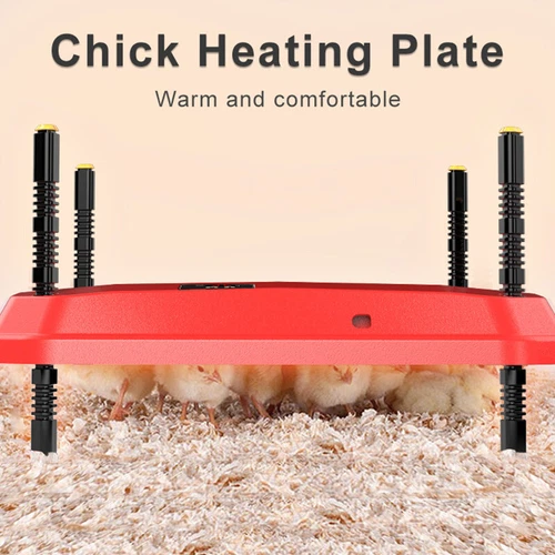 Thermostatically Controlled Brooder Heating Plate for Chick w/ Adjustable Height - Picture 7 of 12