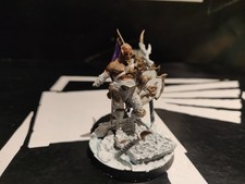 AOS Warhammer Hedonites of Slaanesh Lord of Hybris