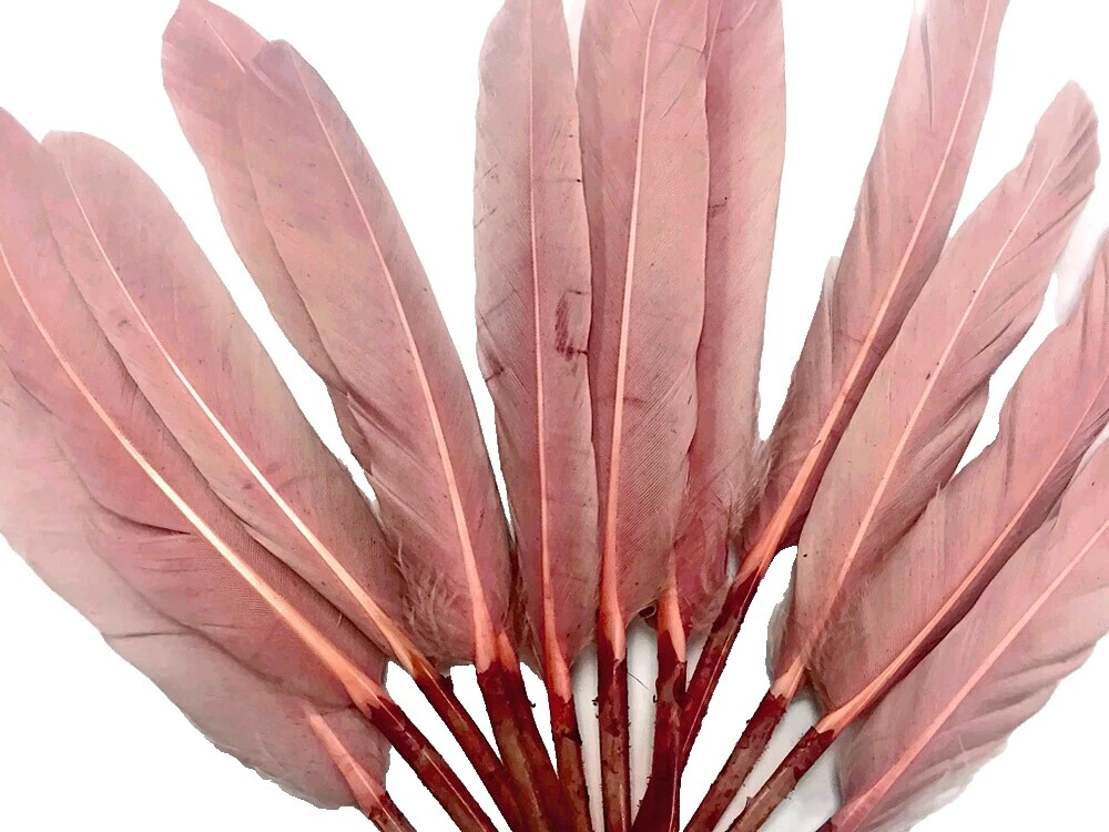 Brown Craft Feathers