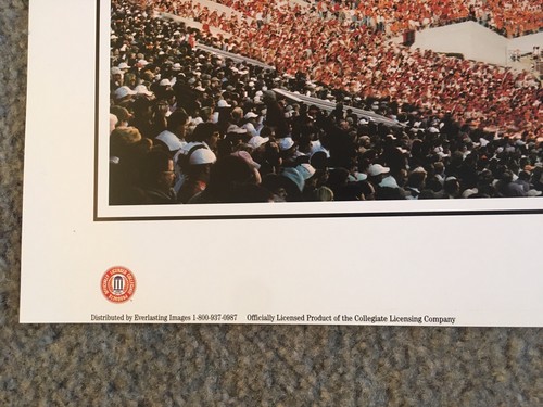 Alamama Crimson Tide Panoramic Poster Photo Rob Arra 41 Yard Line Bryant Denny - Picture 5 of 8