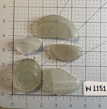 W 1151 Genuine Surf Tumbled Sea Glass/Bottle Bases Partials Beach Glass