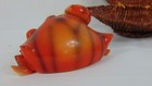 Bild 8 von 11