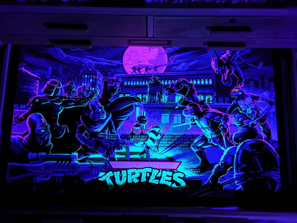 Teenage Mutant Ninja Turtles Juan Ramos TMNT Poster Print