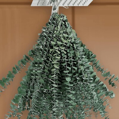 15 Pcs Natural Eucalyptus for Shower Bundle 100% Real Eucalyptus 17'' Dried Pr...