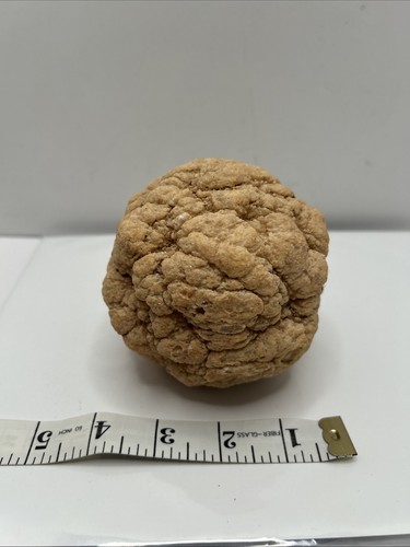 530g Break Your Own Geodes! | Raw, Uncut Geode Specimens - Picture 2 of 7