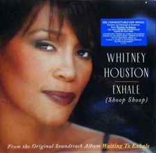 Whitney Houston - Exhale (Shoop Shoop) (12") (Near Mint (NM or M-)) - 3946520698