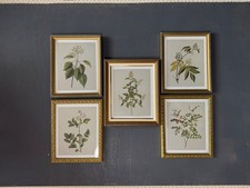 Vintage Cottage Garden Gallery Wall Set – Framed Botanical & Floral Prints