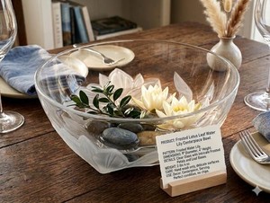 Hoya Japan Crystal | eBay