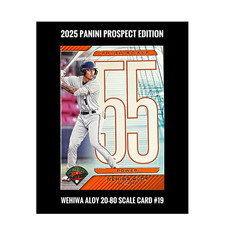 2025 Panini Prospect Edition Wehiwa Aloy 20-80 Scale Card #19 Baltimore Orioles 