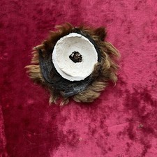 Perruque Ancienne Mohair Et Calotte En Plâtre D’origine Poupée Kestner Bébé