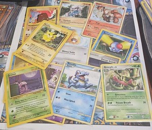 Old Ex Pokemon Cards