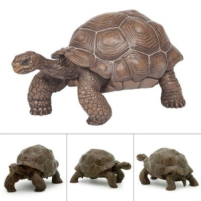 Outdoor Tortoise Sculpture Realistic Galapagos Turtle Toy Educational Model