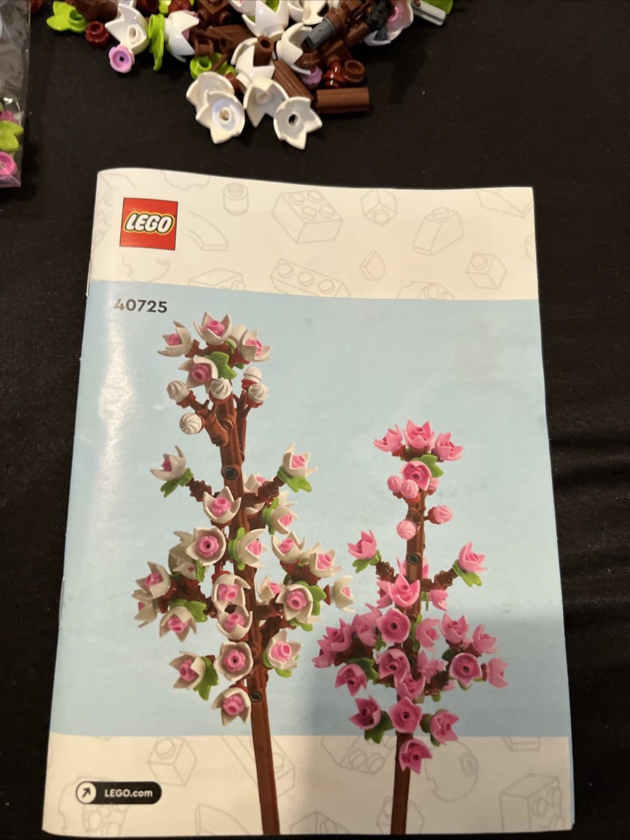 lego 40725 Incomplete | eBay