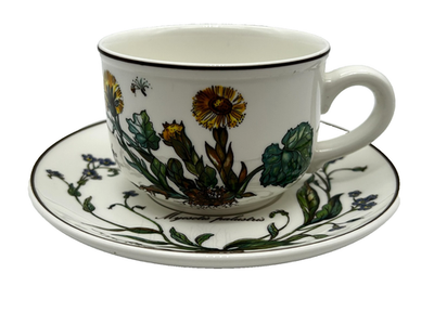 Villeroy & Boch Botanica Porcelain Teacup & Saucer Set | eBay