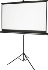 Insignia™ - 75" Tripod Projector Screen - Black/White
