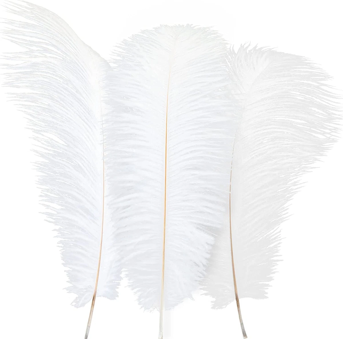 100 Pcs Natural Ostrich Feathers Bulk 8-10 Inch/ 20-25 Cm Large Ostrich  Feathers