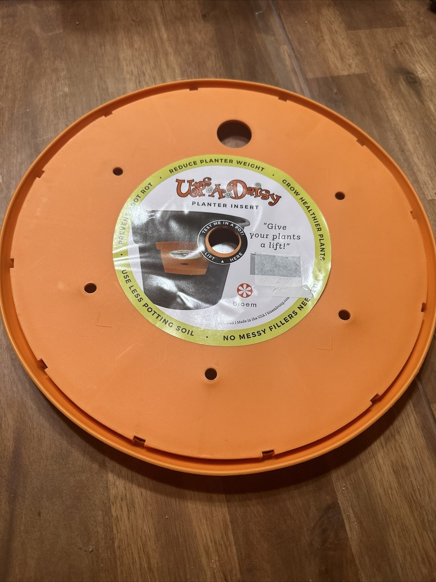 Bloem Living T6322 Up's a Daisy Planter Insert 12in Orange for
