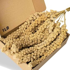 Jmxu's Spray Millet Treat for Birds Parakeets, Natural Sun-Dried Birds Millet fo