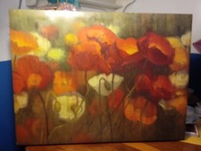 Shirley Novak Multi Color Poppies Poppy Field Art Painting Print Wrapped Canvas