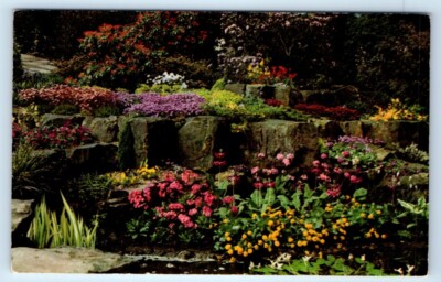 R.H.S. Gardens, Wisley - Rock Garden in Spring ENGLAND UK Postcard