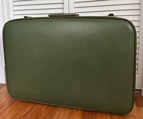 Vintage Hard Shell Suitcase Sage Green Luggage Carry-on