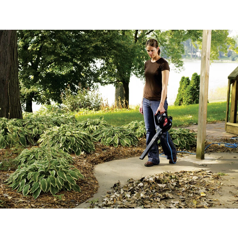 Soprador de folhas elétrico Toro 51585 7A 2 velocidades varredura elétrica máx. Até 160 mph - Imagem 2 de 4