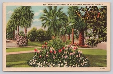 Palms and Flowers In A California Residential District Linen Postcard Posted